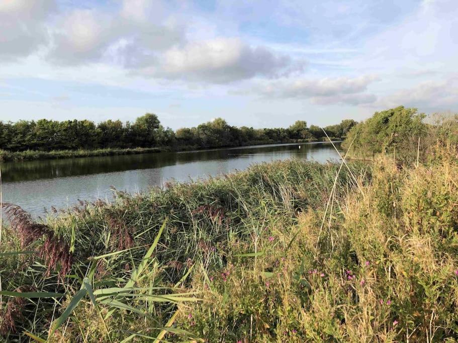 Bazien Luxe Kamer Bij Strand En Kreek Natuur En Veel Faciliteiten Westkapelle Bagian luar foto