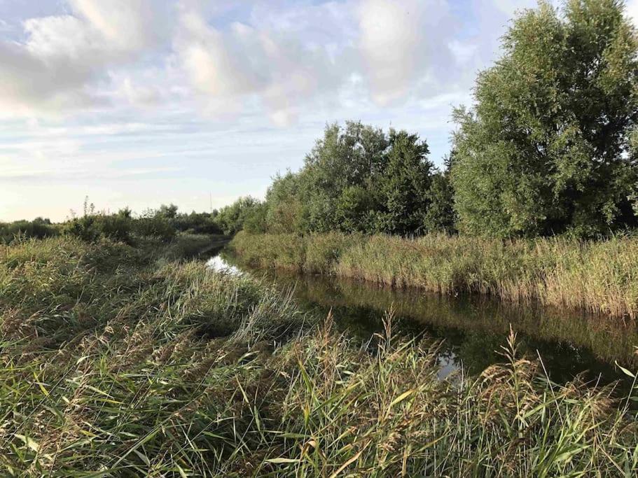 Bazien Luxe Kamer Bij Strand En Kreek Natuur En Veel Faciliteiten Westkapelle Bagian luar foto
