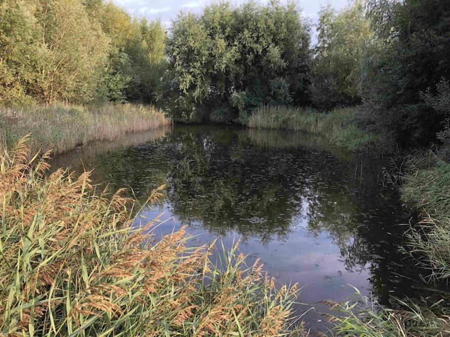 Bazien Luxe Kamer Bij Strand En Kreek Natuur En Veel Faciliteiten Westkapelle Bagian luar foto