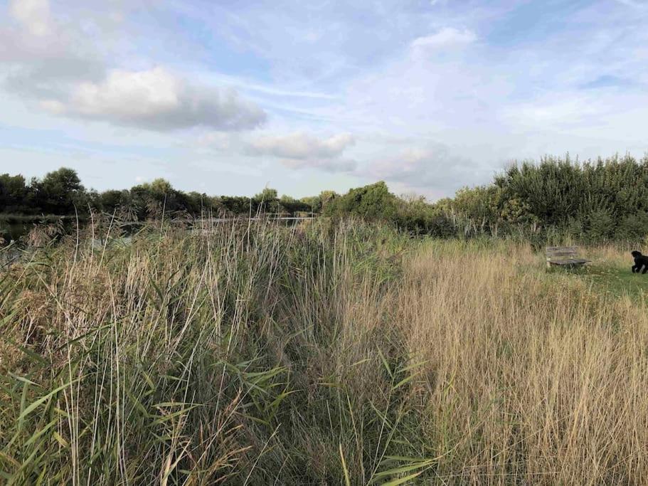 Bazien Luxe Kamer Bij Strand En Kreek Natuur En Veel Faciliteiten Westkapelle Bagian luar foto